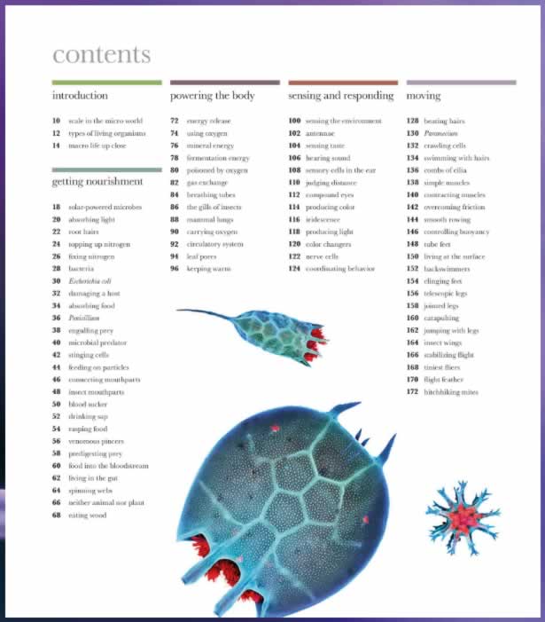 Dk探索微观世界的科普巨作 Dk Micro Life：miracles Of The Miniature World Pdf下载